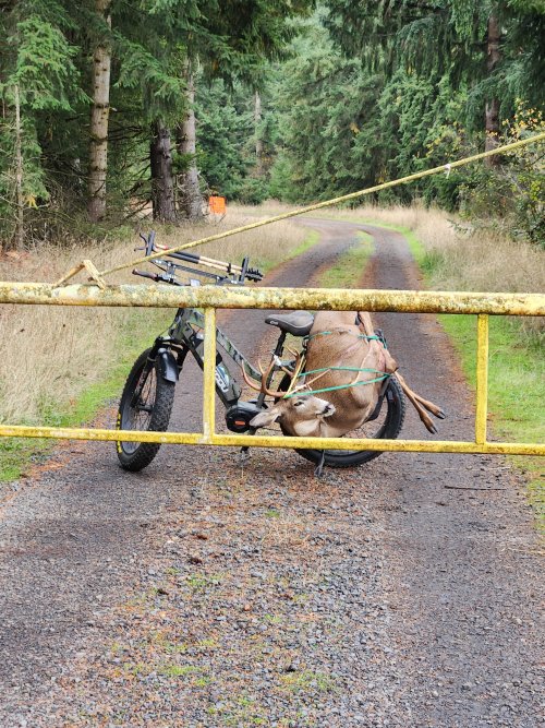 1000012028.jpg 1000012028.jpg