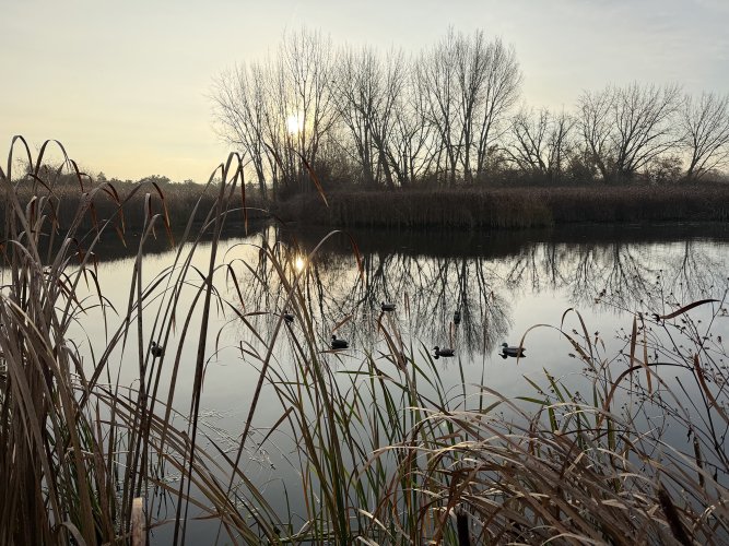 IMG_5366.jpg IMG_5366.jpg