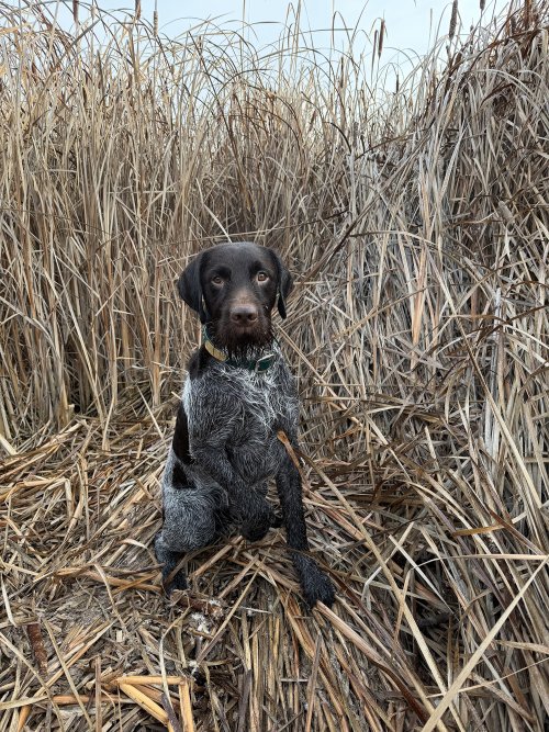 IMG_5367.jpg IMG_5367.jpg