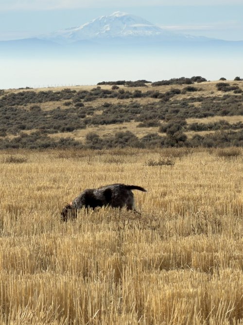 IMG_5375.jpg IMG_5375.jpg