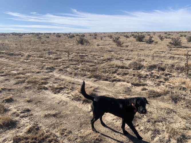 IMG_7147.jpeg IMG_7147.jpeg