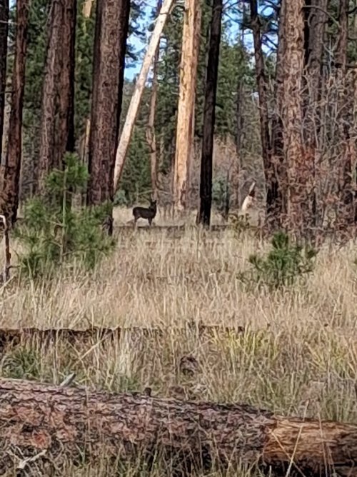 20251113_113326.jpg 20251113_113326.jpg