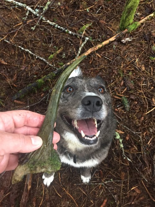 IMG_0710.jpeg IMG_0710.jpeg