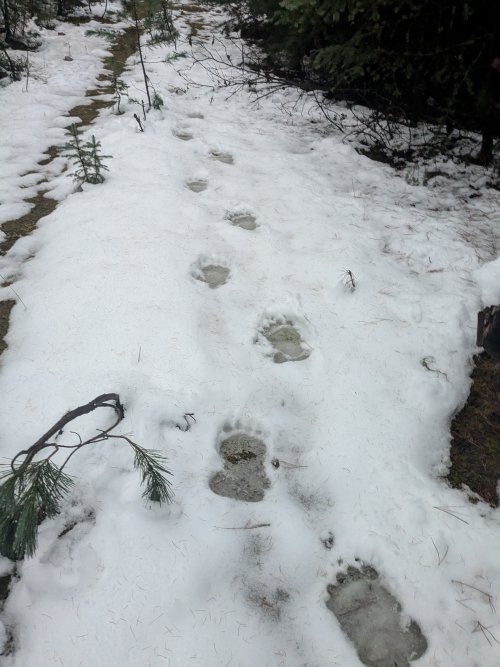 ede87c2b-1879-49e2-8297-e5488529d4d6-1_all_151.jpg ede87c2b-1879-49e2-8297-e5488529d4d6-1_all_151.jpg