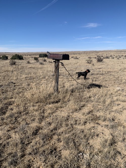 IMG_7149.jpeg IMG_7149.jpeg