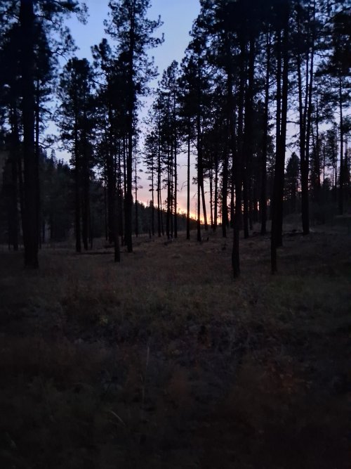 20251113_174053.jpg