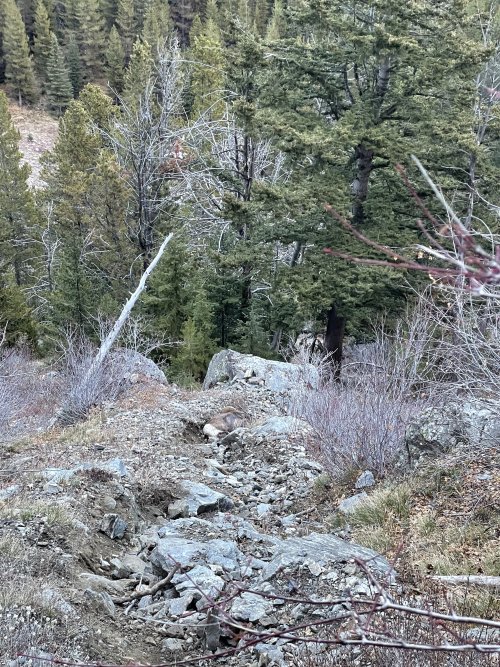 IMG_9220.jpeg