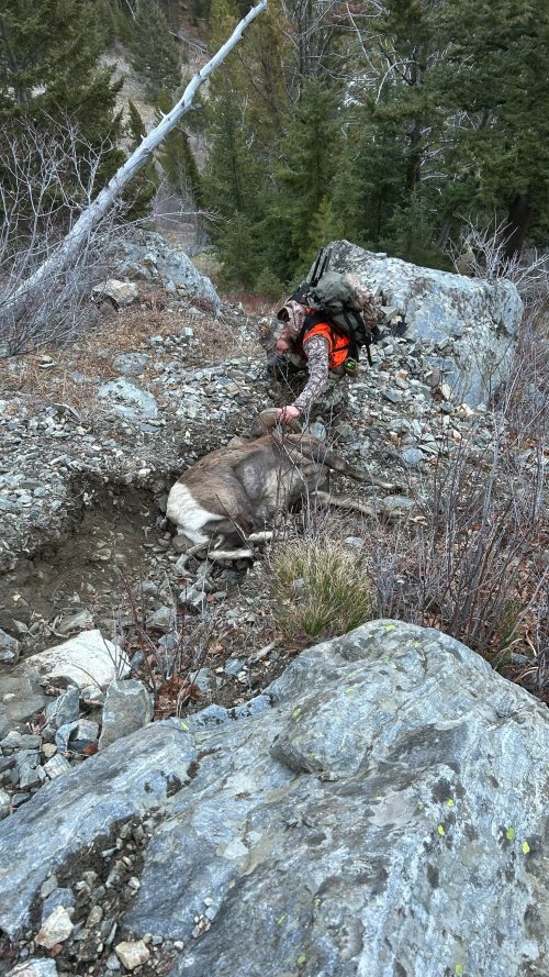 IMG_0216.jpeg IMG_0216.jpeg