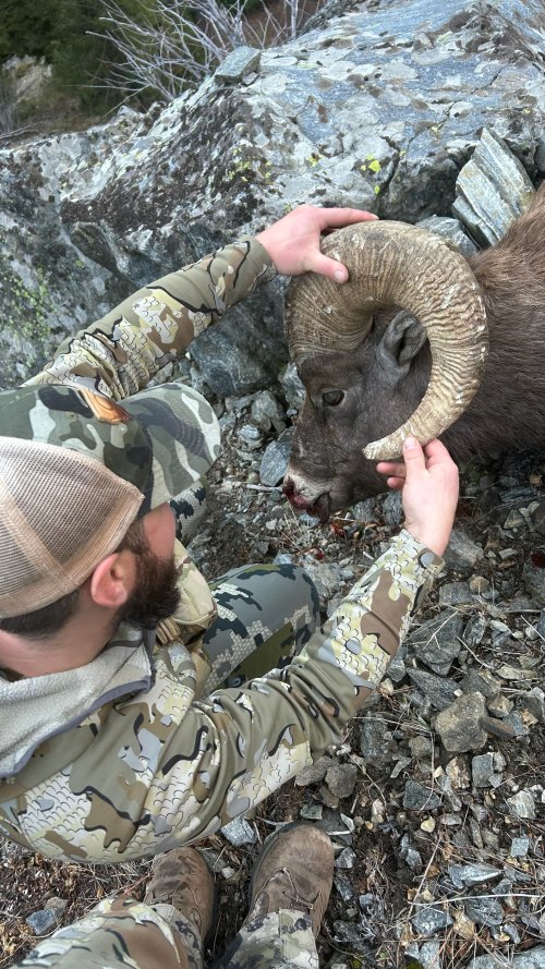 IMG_0220.jpeg IMG_0220.jpeg