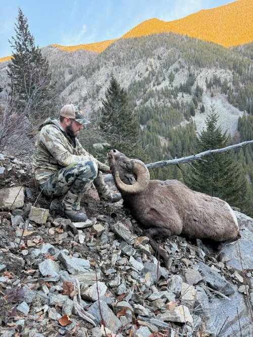 IMG_0355.jpeg IMG_0355.jpeg