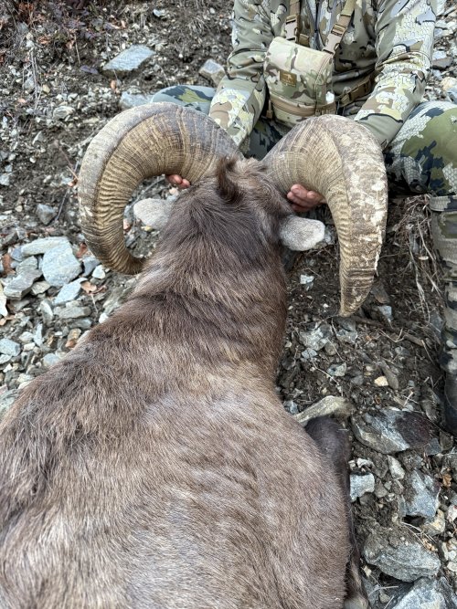 IMG_0410.jpeg IMG_0410.jpeg