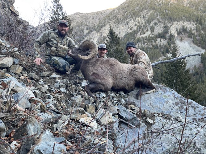 IMG_9240.jpeg IMG_9240.jpeg