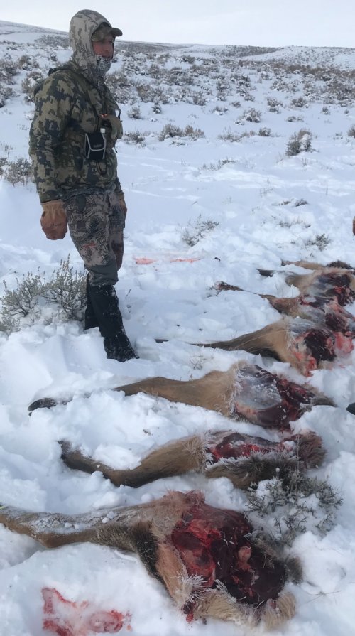 IMG_8944.jpeg IMG_8944.jpeg