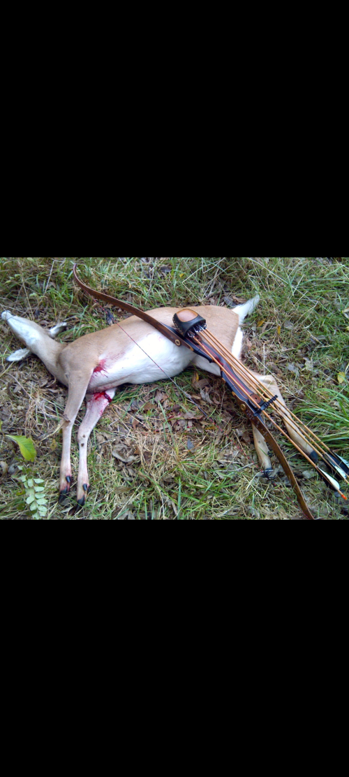 Screenshot_20251127-075808_Photos.png