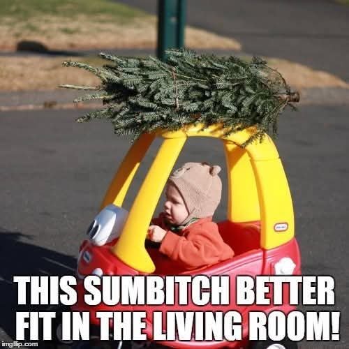 FB_IMG_1764190983717.jpg