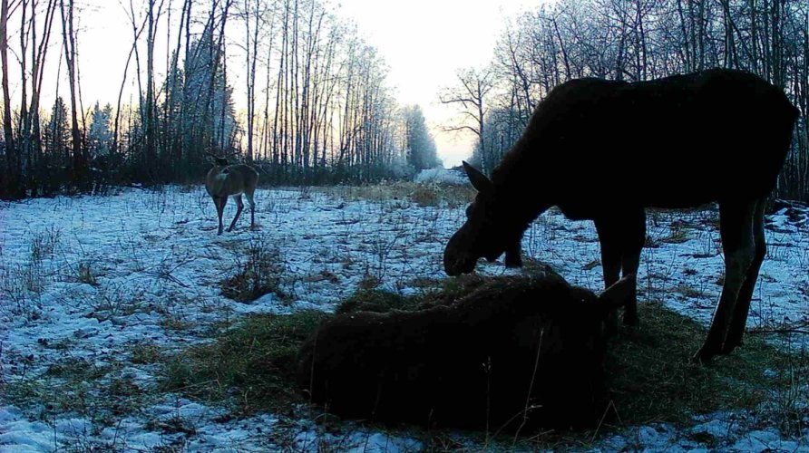 IMG_3929.jpeg IMG_3929.jpeg