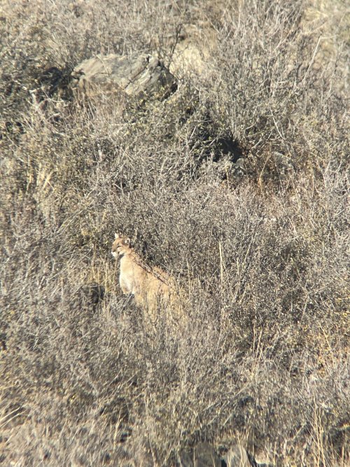 IMG_9950.jpeg IMG_9950.jpeg