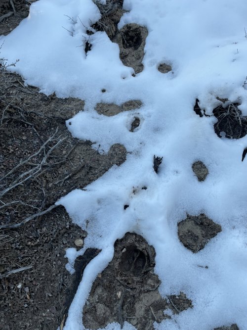 IMG_0127.jpeg IMG_0127.jpeg