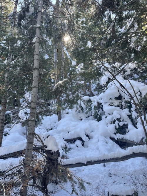 IMG_0131.jpeg IMG_0131.jpeg