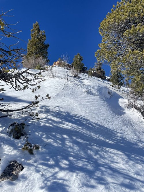 IMG_0132.jpeg IMG_0132.jpeg