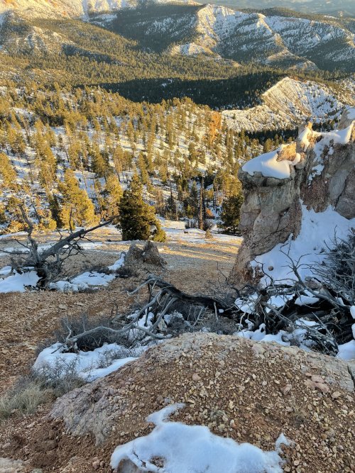 IMG_0151.jpeg IMG_0151.jpeg