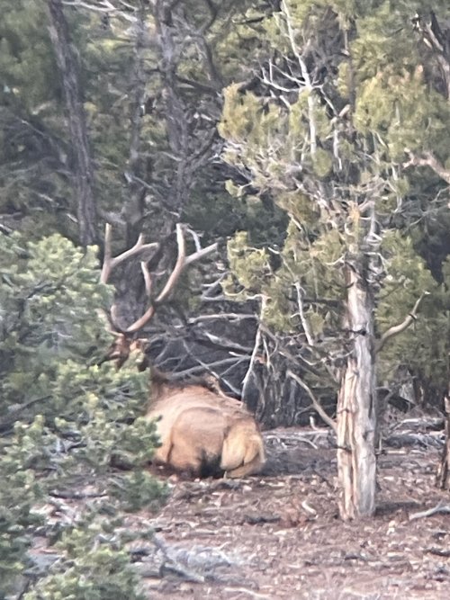 IMG_0179.jpeg IMG_0179.jpeg