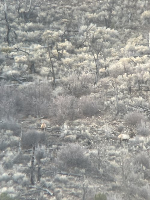 IMG_0196.jpeg IMG_0196.jpeg