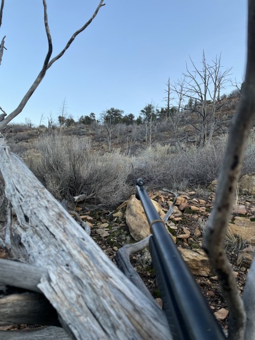 IMG_0299.jpeg IMG_0299.jpeg