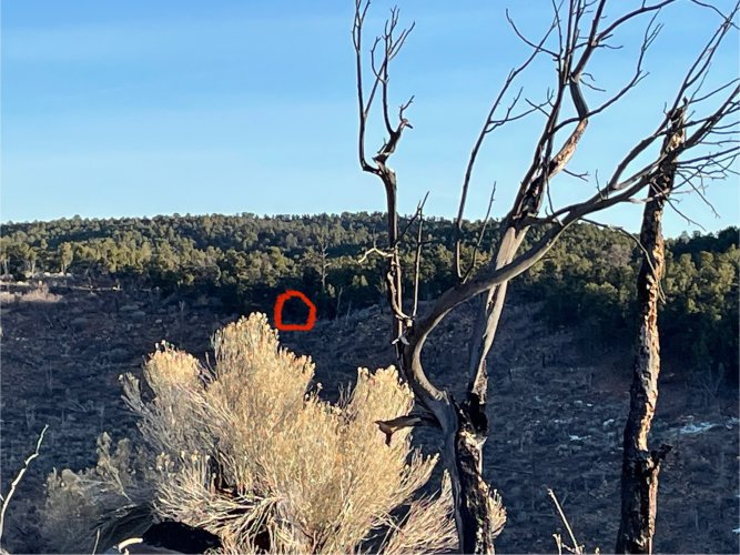 IMG_0297.jpeg IMG_0297.jpeg