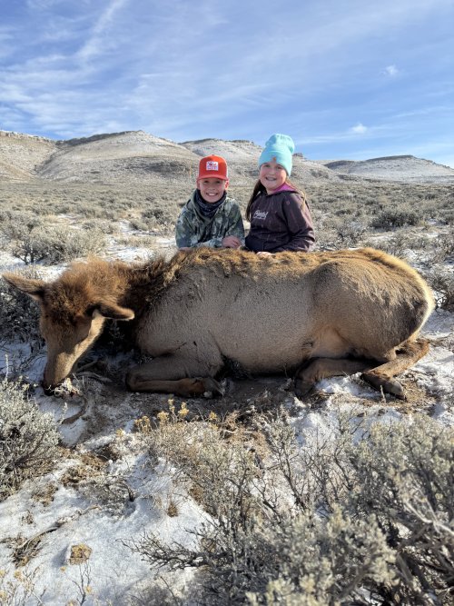 IMG_7801.jpeg IMG_7801.jpeg