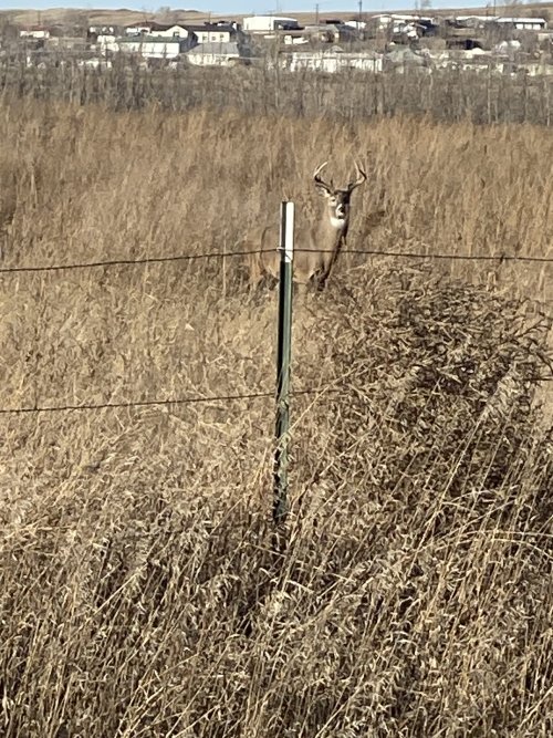 IMG_2322.jpeg IMG_2322.jpeg