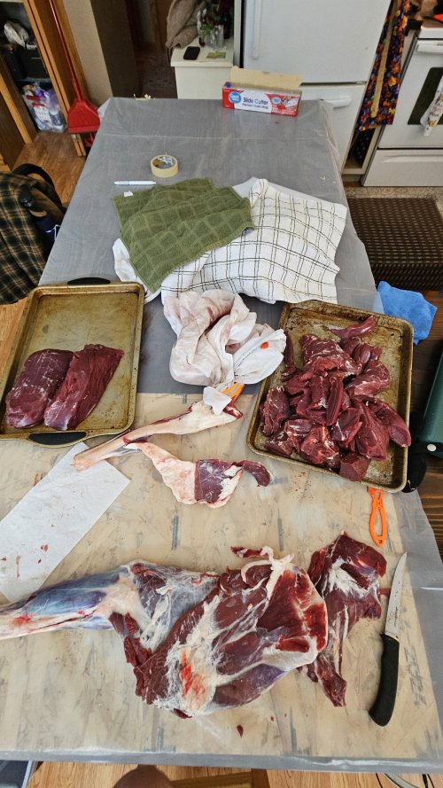 1000022521.jpg