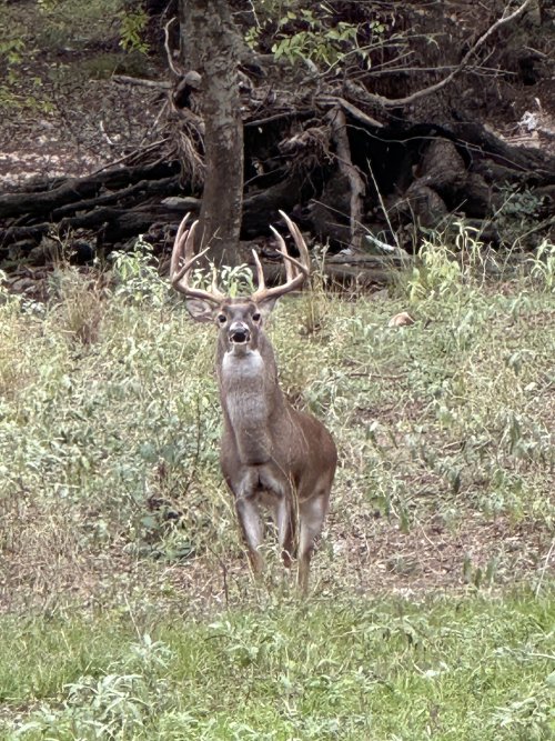 IMG_2867.jpeg