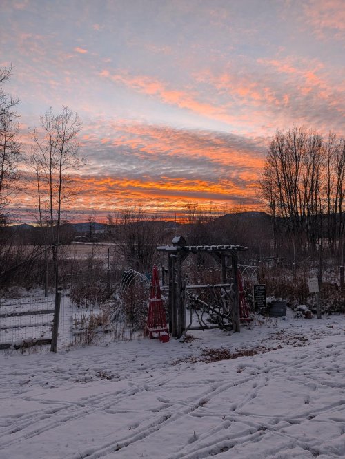 December 1st.jpg December 1st.jpg