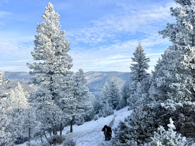 IMG_7447.jpeg IMG_7447.jpeg