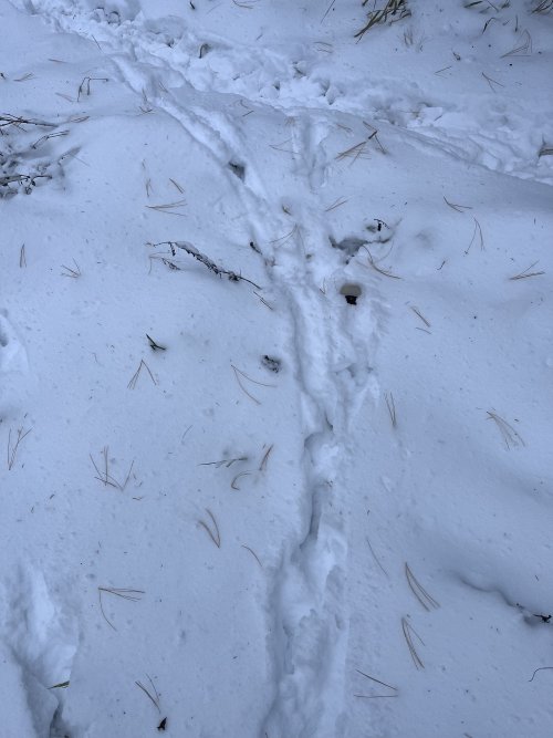 IMG_2147.jpeg IMG_2147.jpeg