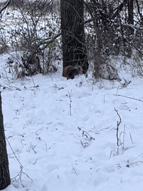 IMG_2141.jpeg IMG_2141.jpeg