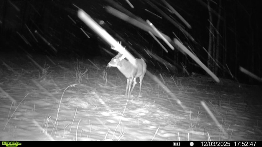 016579001531065-61-4-12032025175247-SYFW03623.jpeg 016579001531065-61-4-12032025175247-SYFW03623.jpeg