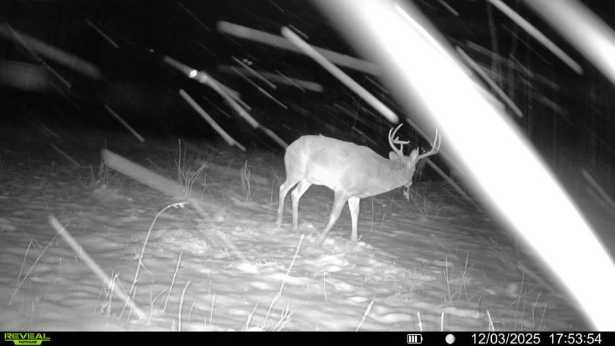 016579001531065-61-4-12032025175354-SYFW03624.jpeg 016579001531065-61-4-12032025175354-SYFW03624.jpeg