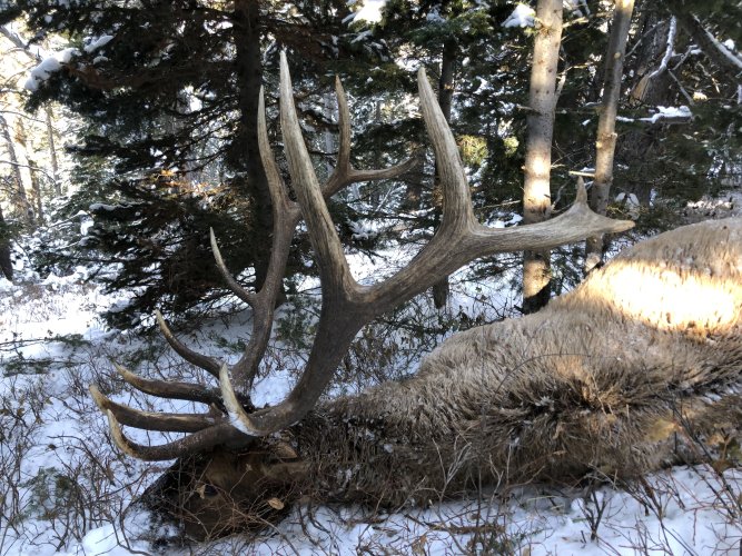 IMG_2458.jpeg IMG_2458.jpeg