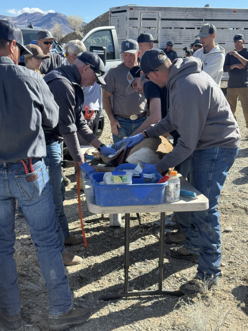 Screenshot 2025-12-04 at 2.50.41 PM.png