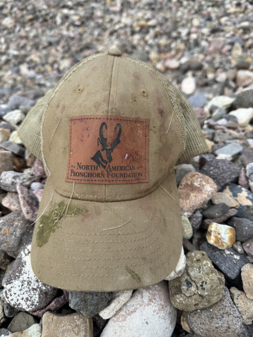 Screenshot 2025-12-04 at 2.58.29 PM.png