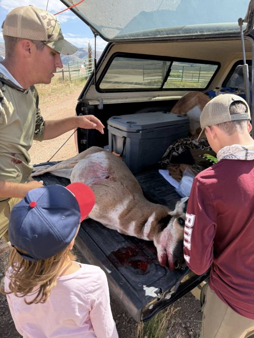 520403732_10163675508245539_2899726741393967722_n.jpg 520403732_10163675508245539_2899726741393967722_n.jpg