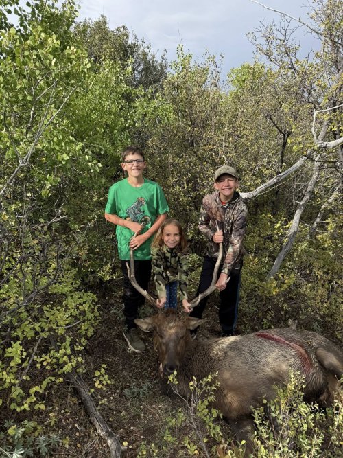 546481982_10163795695935539_7461469299735963963_n (1).jpg 546481982_10163795695935539_7461469299735963963_n (1).jpg