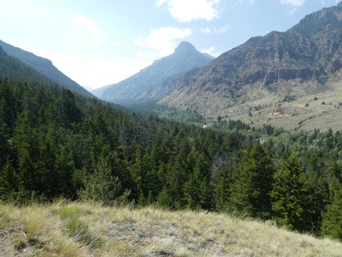 Upper Ishawooa Creek.JPG