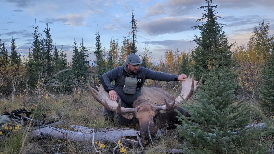 Bull Moose 2025 2.jpg