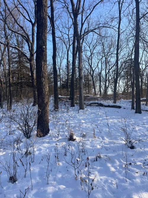 1765032436779.jpeg 1765032436779.jpeg