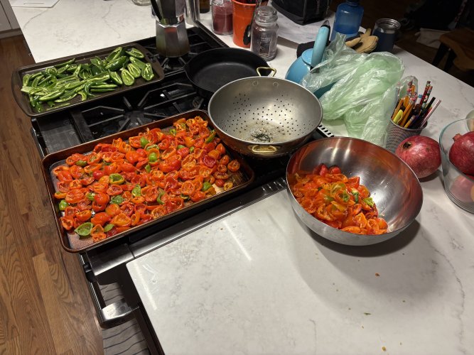 IMG_6495.jpeg IMG_6495.jpeg