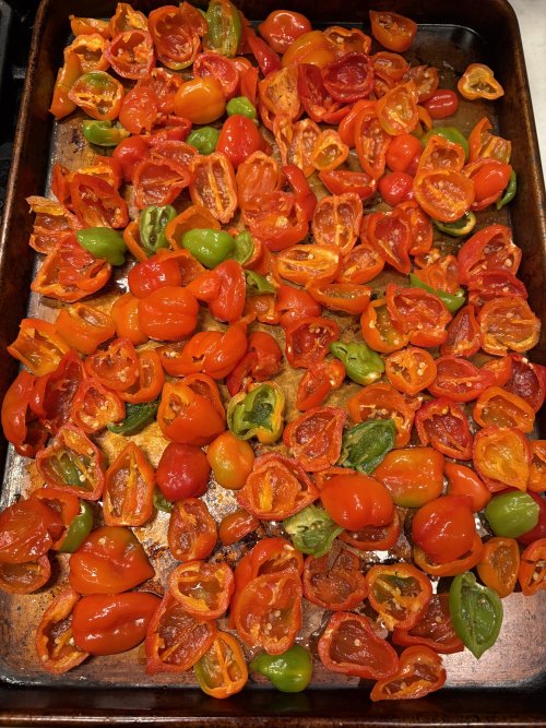 IMG_6496.jpeg IMG_6496.jpeg