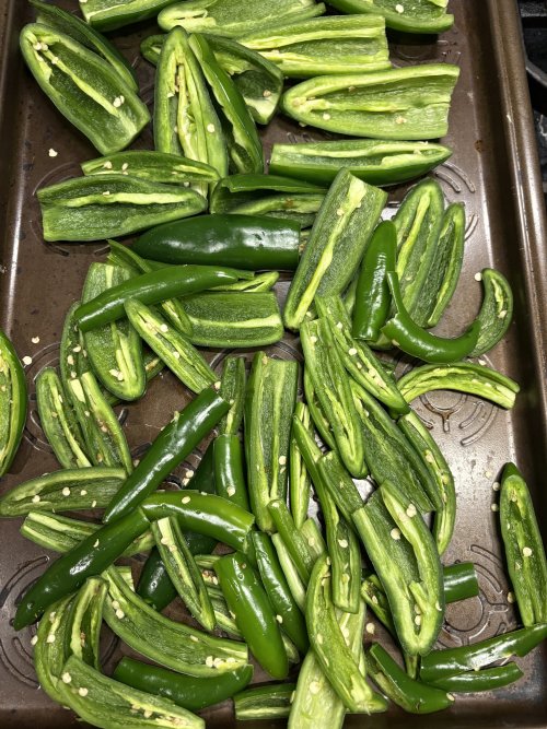 IMG_6497.jpeg IMG_6497.jpeg